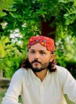 Ali Haider, 30 лет, میر پور خاص