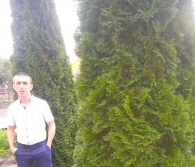 Саша Шестюк, 40 лет, Давыд-Гарадок