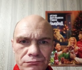 Алексей, 46 лет, Лесозаводск