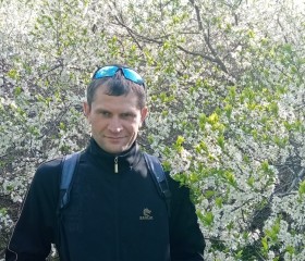 Дима, 36 лет, Тамбов