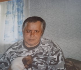 Анатолий, 68 лет, Санкт-Петербург