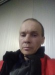 Николай, 46 лет, Котлас