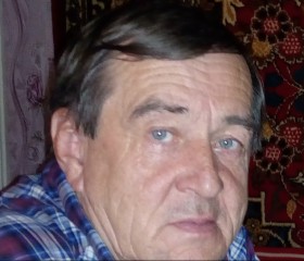 Сергей, 65 лет, Омск