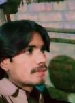Khurram Shahzad, 28 лет, ڈسکہ‎