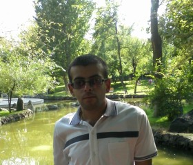 Grigor Hakobyan, 38 лет, Երեվան