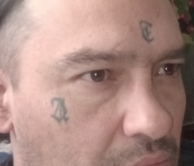 Dani, 42, San Carlos de Bariloche