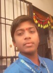 Kowshik, 18 лет, Chennai