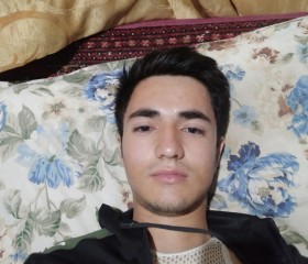 Safi, 23 года, تِهران