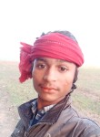 Javed Ansari HD, 18  , Patna