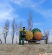 Зафар