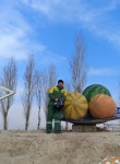 Зафар - Новокузнецк
