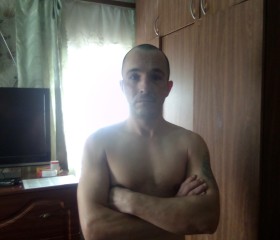 Алексей, 41 год, Усть-Калманка