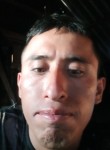Carlos, 27 лет, Buena Vista Tomatlán