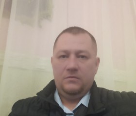 Роман Семенов, 42 года, Тверь