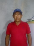 Carlos  Roberto, 48 лет, Belém (Pará)