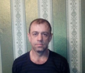 Евгений Антони, 49 лет, Северская
