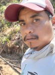 Francisco, 32 года, Xonacatlán