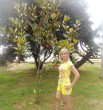 Света