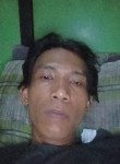 Bg Murjan, 34 года, Teluknaga
