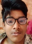 Himanshu Rathore, 19 лет, Dhaulpur