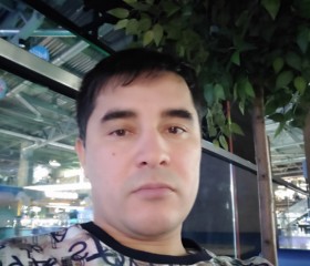 Azimov Zoxid, 36 лет, Санкт-Петербург