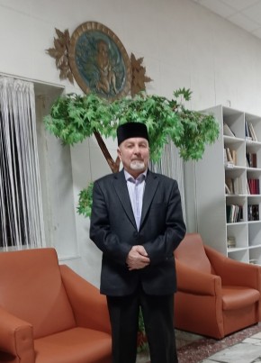 Рафис Салимов, 63, Россия, Казань
