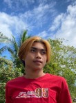 Niks, 20 лет, Cebu City