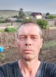 Андрей, 41 год, Бородино