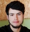 anis