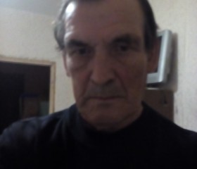 Анатолий, 65 лет, Приозерск