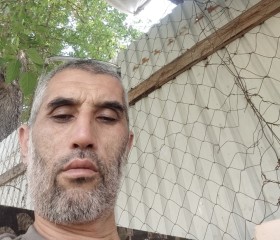 Saydulo, 54, Norak
