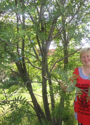 Лариса, 61, Россия, Идринское
