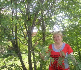 Лариса, 61 год, Идринское