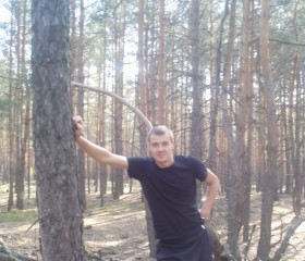 Сергей, 41 год, Карлівка