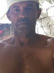 fred, 47 лет, Caçapava