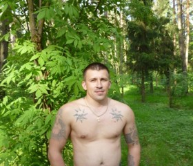 Евгений, 42 года, Бабынино