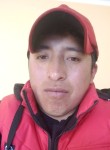 Wilfredo, 31 год, Ciudad La Paz