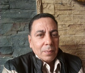 حسن, 53 года, الإسكندرية