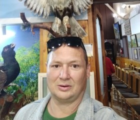Albert, 45, Bogatoye