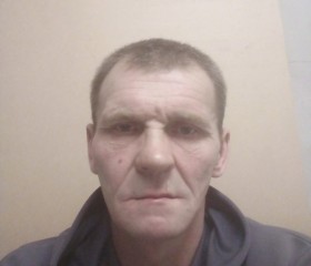 Сергей Колганов, 51 год, Вичуга