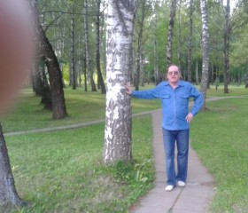 Александр Морозов, 70 лет, Воронеж
