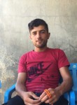 Mehmet , 22 года, Viranşehir