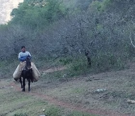 Fabián, 30, Salta