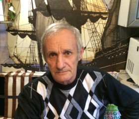 Анатолий, 72 года, Тверь