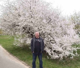 Aleksandr, 50, Minsk