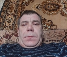 Александр Григор, 46 лет, Горад Барысаў