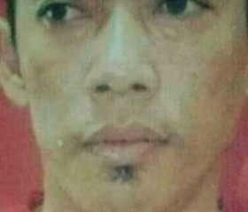 wilis ardinata, 44 года, Kota Surabaya