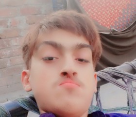 Ranazeeshan, 19 лет, لاہور