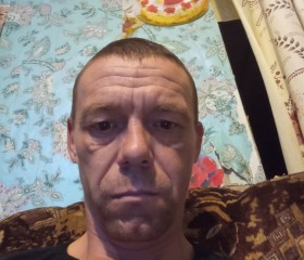 Владимир Рылов, 41 год, Нижний Тагил