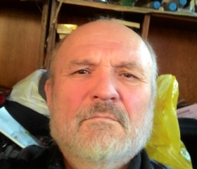 Игорь, 68 лет, Новосибирский Академгородок